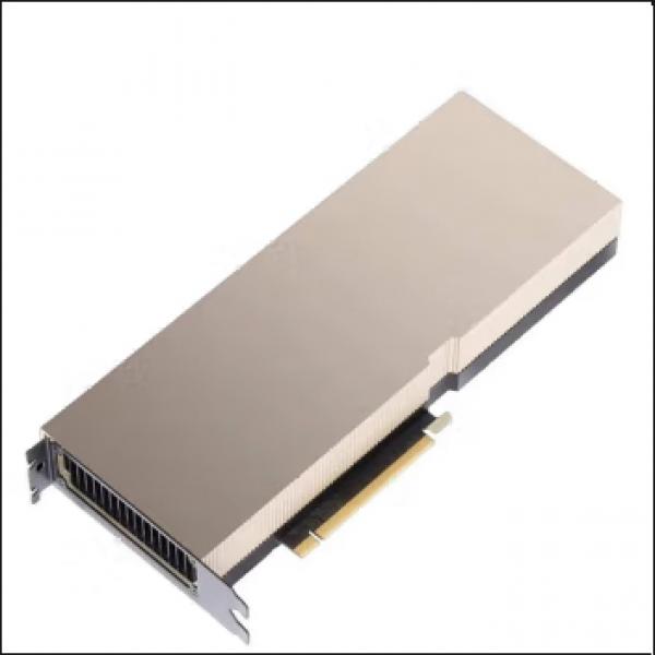 NVIDIA Tesla T4 A40 L40 A100 H100 A800 L4 GPU H800 80G